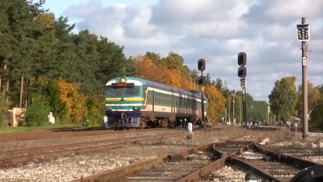 Дизель-поезд ДР1А-251 на ст. Лийва / DR1A-251 DMU at Liiva station