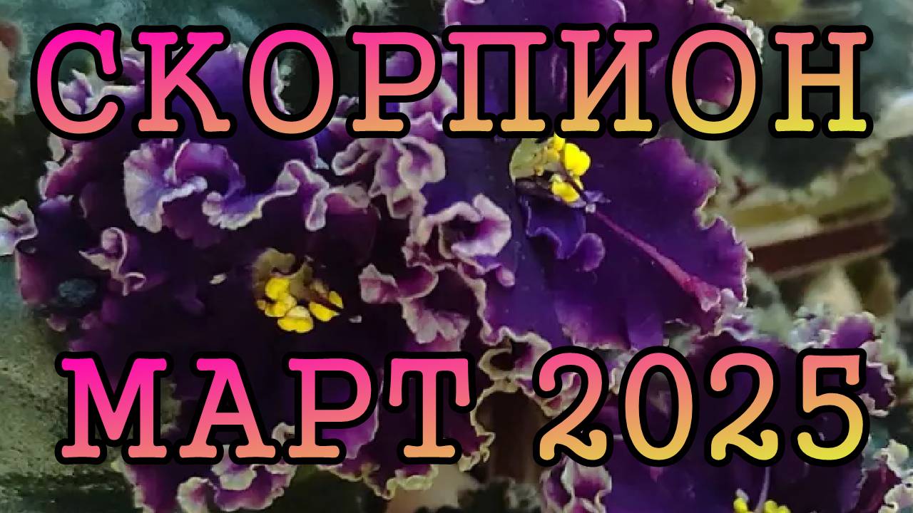 СКОРПИОН таро прогноз на МАРТ 2025 года.