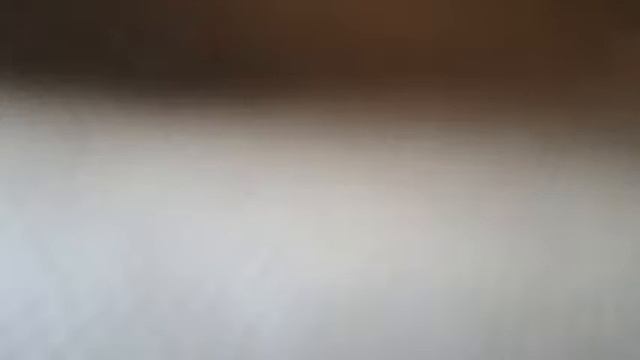 Transmissão ao vivo de Aída Bárbara Moreno
