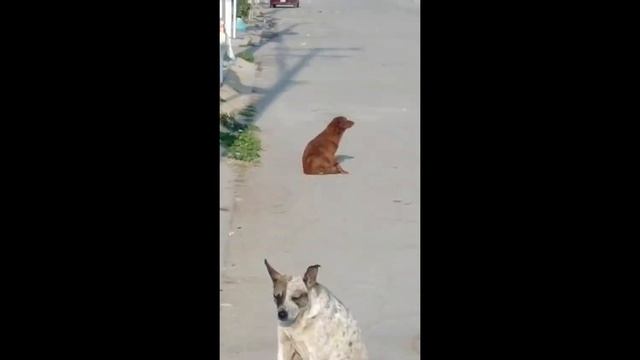 Кружится