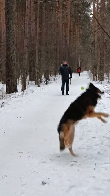 1000105592.mp4