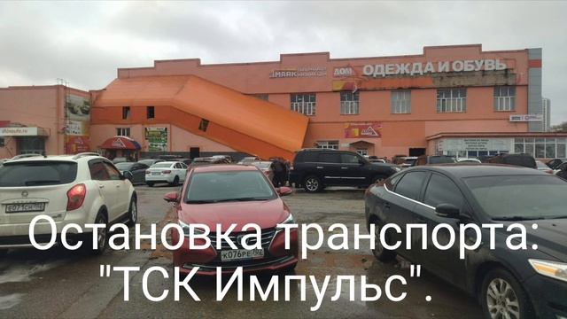 АНОНС. ЯРМАРКА ГОЛУБЕЙ В УФЕ 15 МАРТА 2025 ГОДА.