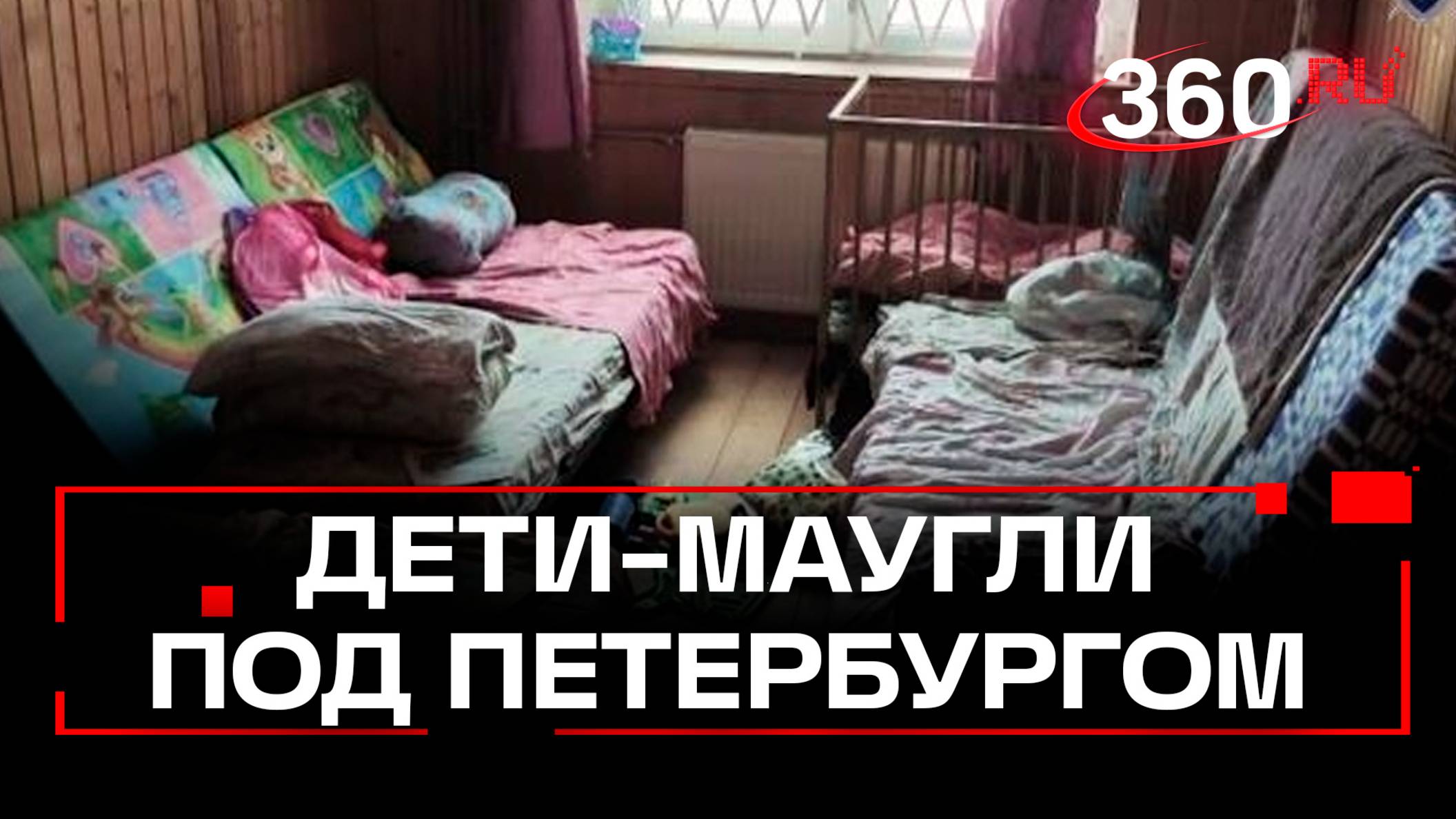 Детей-маугли нашли под Петербургом. Мать и бабушка не видят проблемы