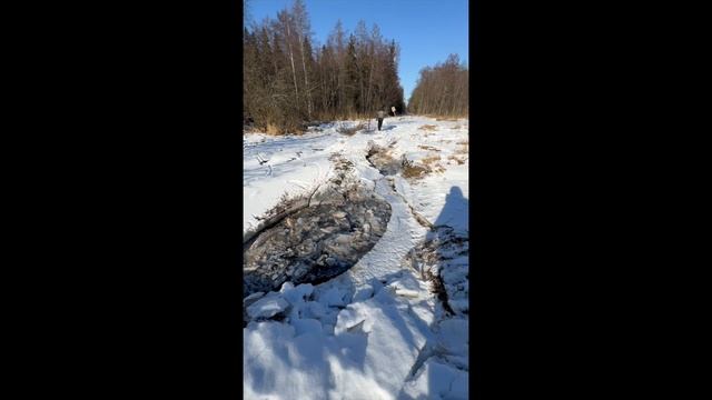 Пробиваем дорогу по газопроводу.