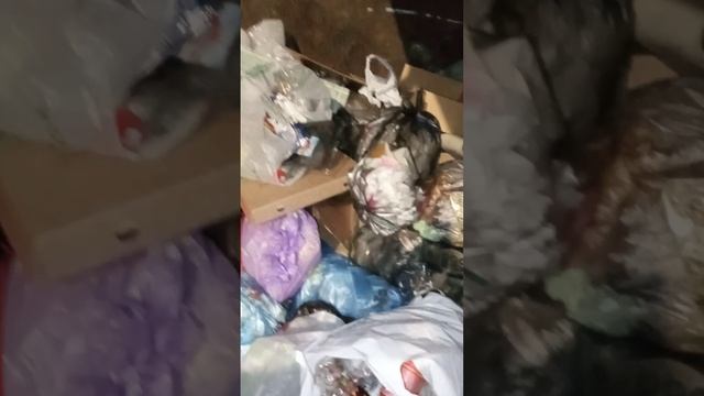 2 часть ходим покормилицам