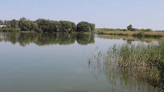 82  Ульяновск Водные объекты