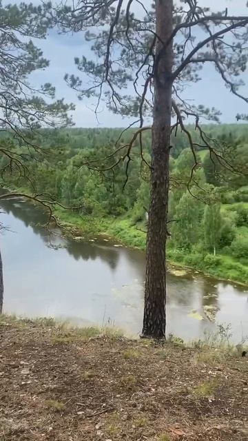 Река Чусовая , вид с камня Высокий. #nature #river #travel #ural