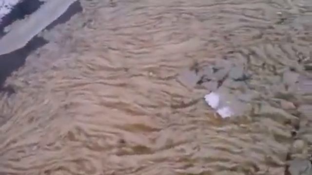 Занадочная пена нареке Преголе