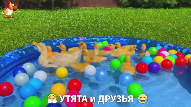 Утята с друзьями – мир нежных эмоций 🤗 эпизод (23)