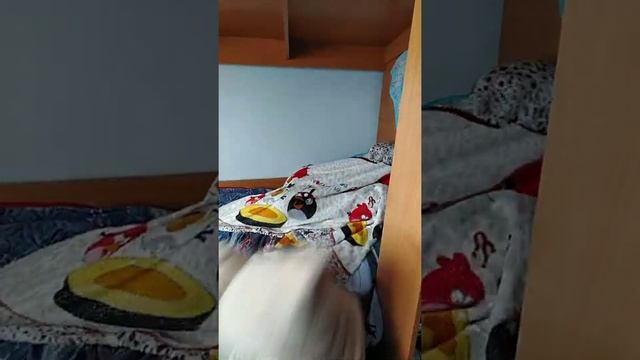 Покемончики-залипончики рисуют