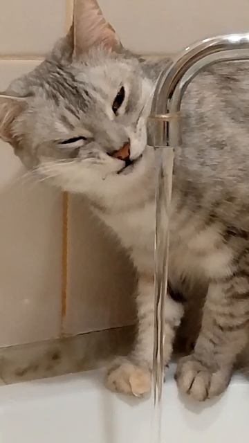 Пьём воду только с крана