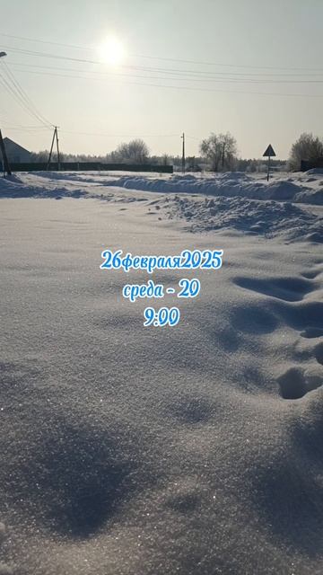 26февраля2025