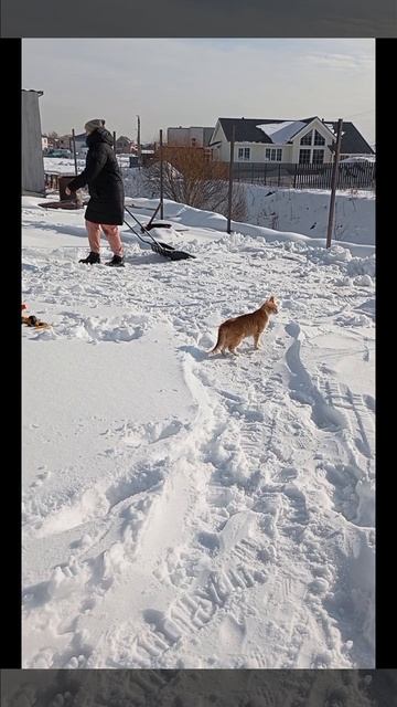 Режим ожидания включен 😁