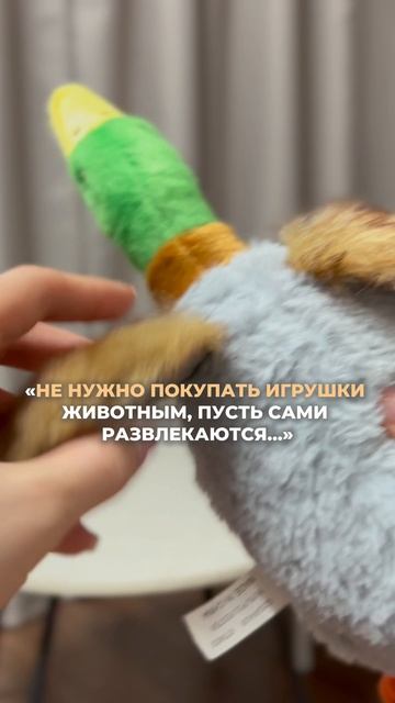 Почему игрушки для животных — это не просто каприз, а необходимость!