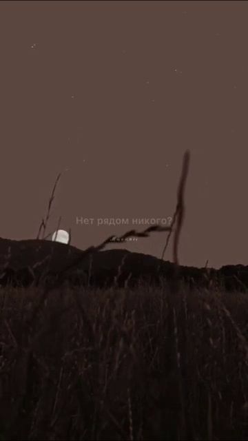 Сам себе Творец