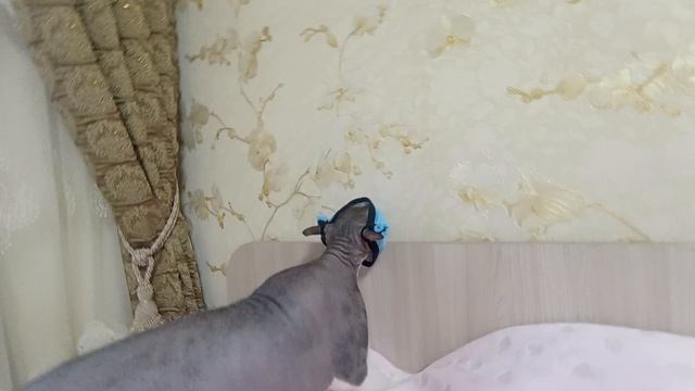 1000010635.mp4