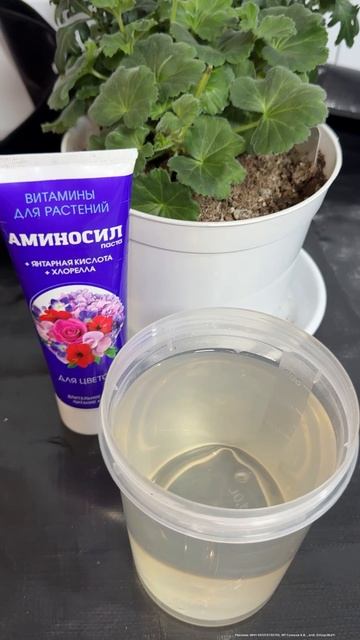 ПОДКОРМКА ДЛЯ ЦВЕТОВ после ЗИМЫ, даже ЧАХЛЫЕ КУСТЫ ОЖИВУТ И ЗАЦВЕТУТ