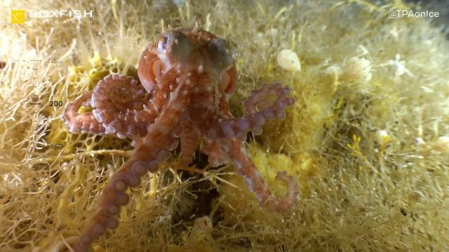 Happy World Ocean Day!