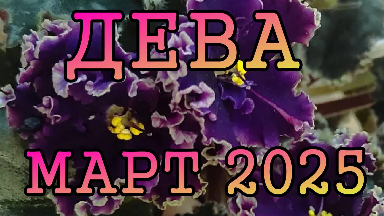 ДЕВА таро прогноз на МАРТ 2025 года.