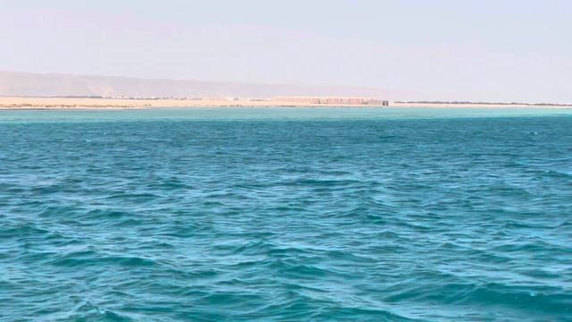 Egypt. Hurghada.  Red sea.  Неповторимое Красное море. Египет. Хургада.