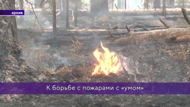 Новости коротко