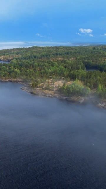 Ladoga Lake #shorts