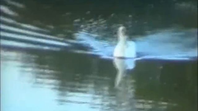 Мы катаемся на маме