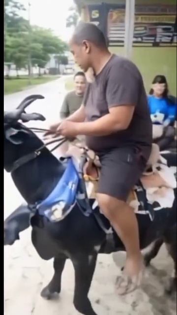 супер сукутер