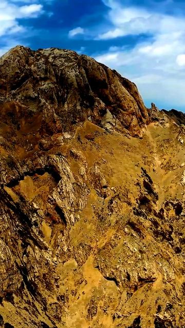 Жизнь, запечатленная на камеру