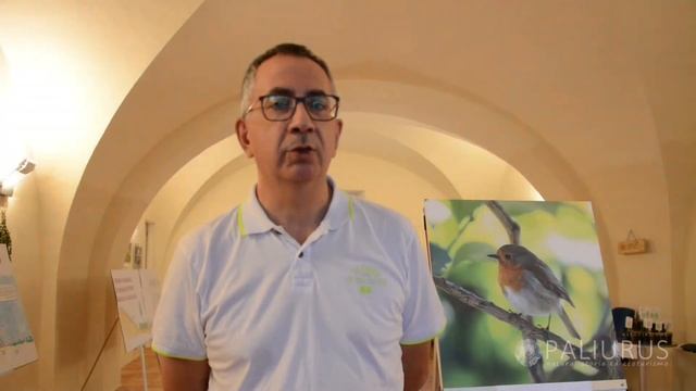 Spazi e tempi di transizione - 5
