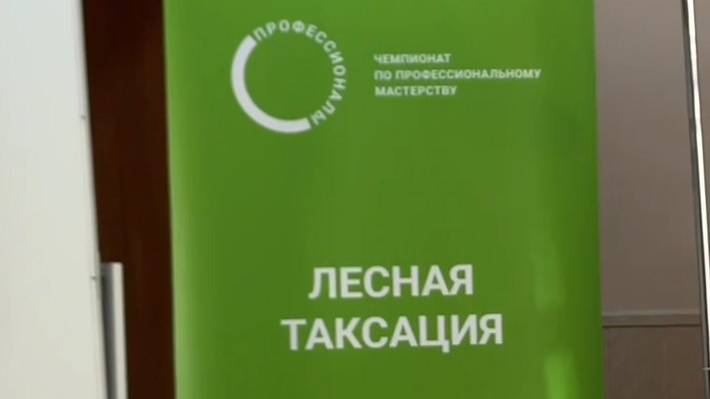2 день чемпионата по компетенции "Лесная таксация"
