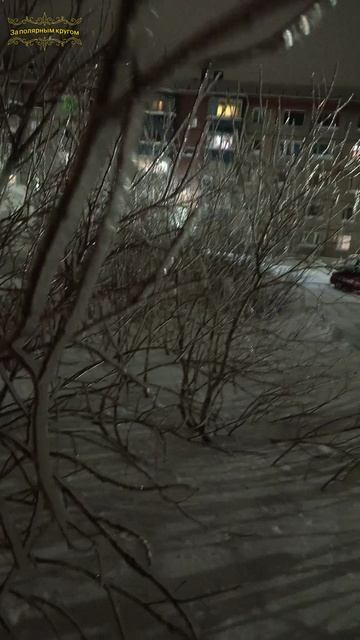 Воркута. Хрустальные деревья!