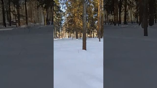 VID-20250226-WA0010