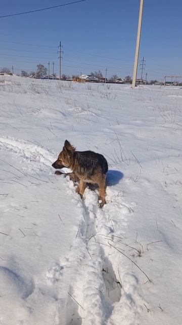 26.02.2025 #сегоднятак #сегодня #природа #nature #oggicosì #бүгін #oggi #hoy #今日 #today #오늘 #자연 #自然