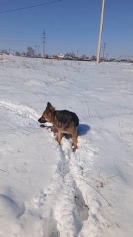 26.02.2025 #сегоднятак #сегодня #природа #nature #oggicosì #бүгін #oggi #hoy #今日 #today #오늘 #자연 #自然