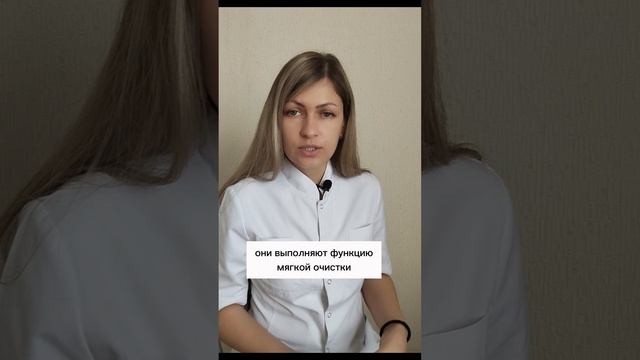 Зачем на клетчатка?
