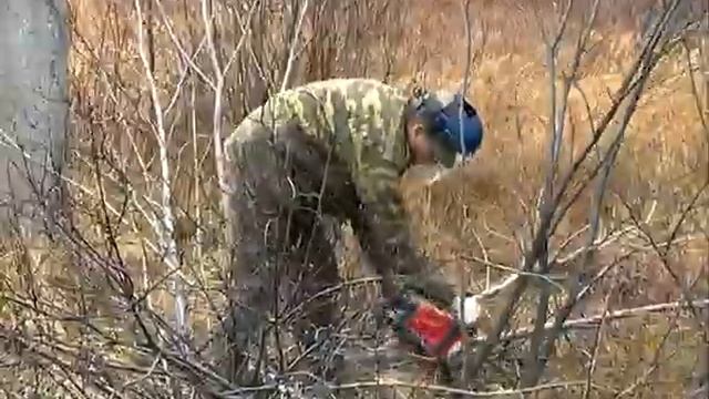 Готовят земельный участок для строительства детсада