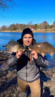 КРУПНЫЙ КАРАСЬ НА ФИДЕР ВЕСНОЙ 🔥🔥🔥#shorts #fishing #feeder #рыбалка #карась #cruciancarp #carp