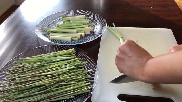 How LEMONGRASS can be preserved for a Long Time & How to Grow Lemongrass from Stalks