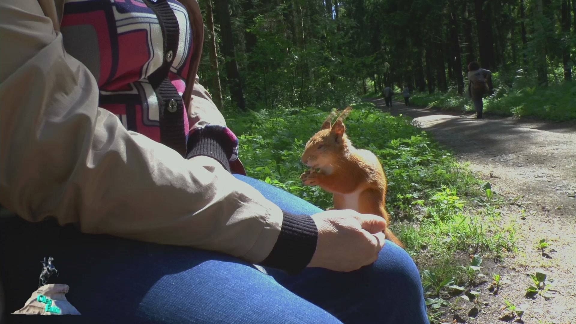 А орешки не простые..