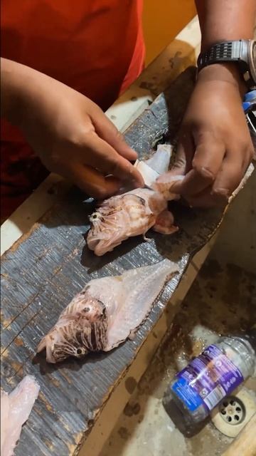 Delicious Lionfish Filets by Vijay for Gaby in Tobago