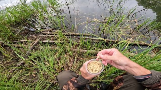 РЫБАЛКА НА ПОПЛАВОЧНУЮ УДОЧКУ