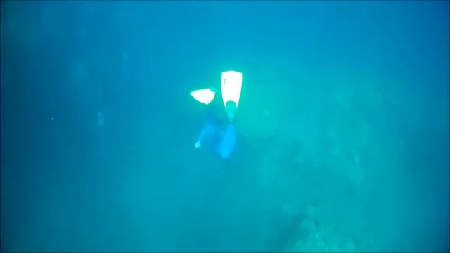 Oz-your-trip.com -  Grande Barriere de Corail