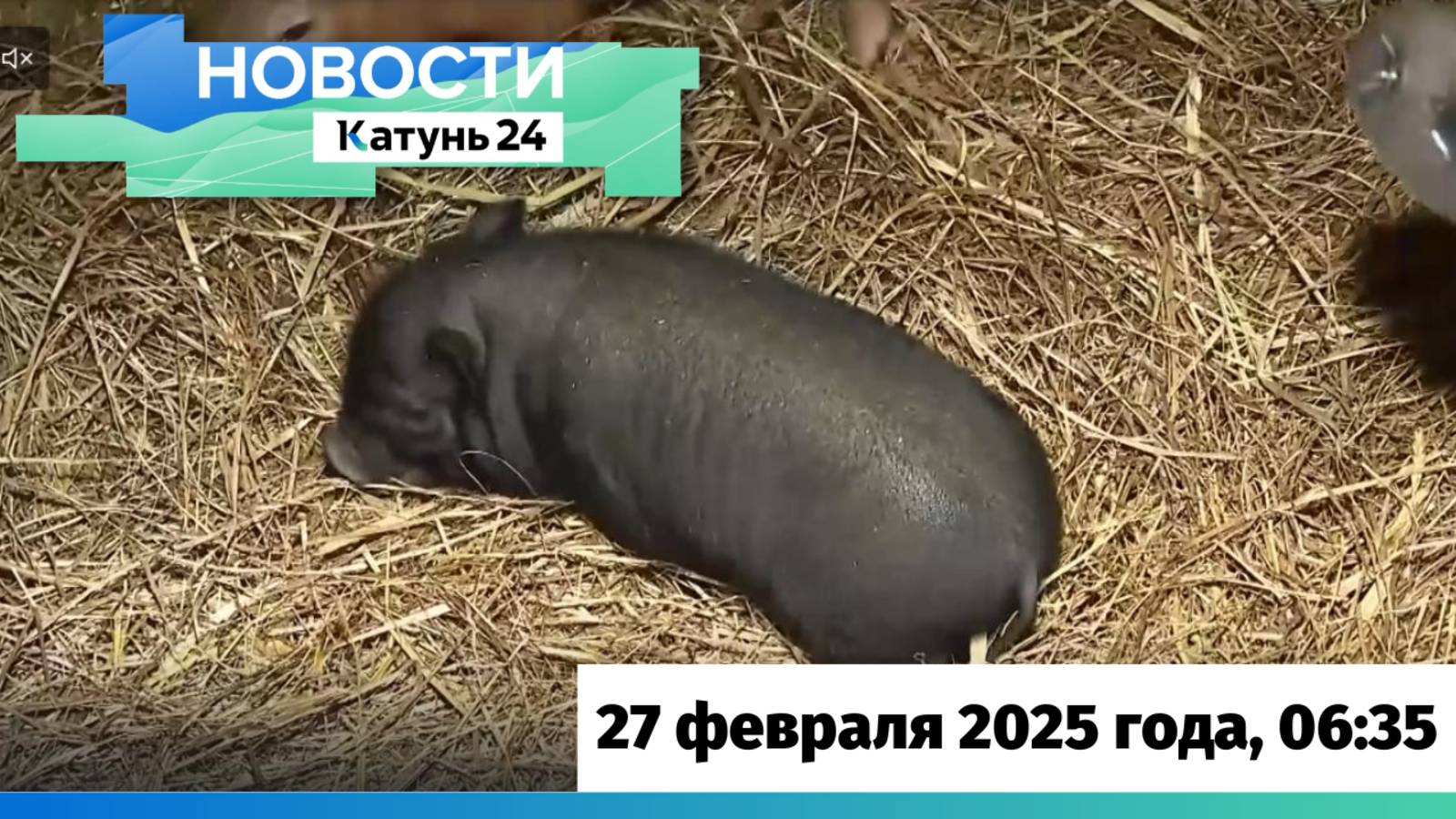 Новости Алтайского края 27 февраля 2025 года, выпуск в 6:35