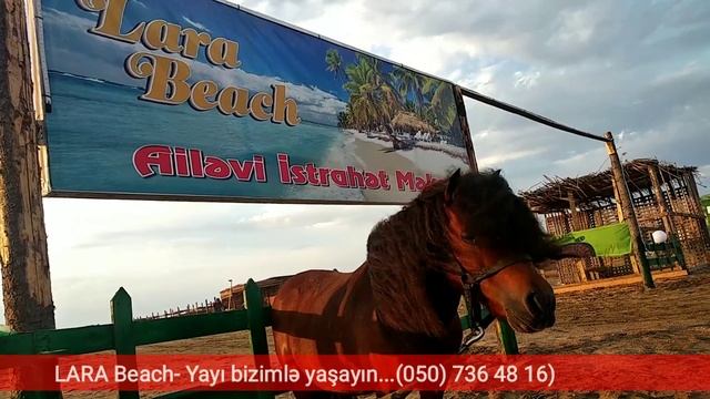 Suyu təmiz, qumu faydalı. LARA Beach- Nardaran