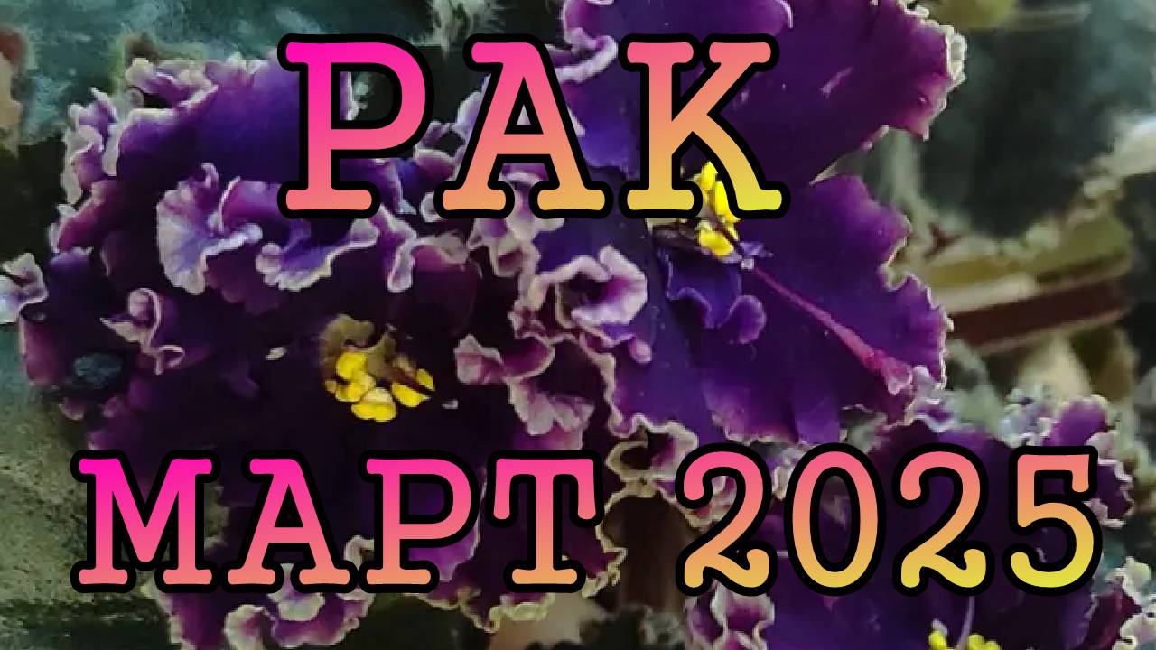 РАК таро прогноз на МАРТ 2025 года.