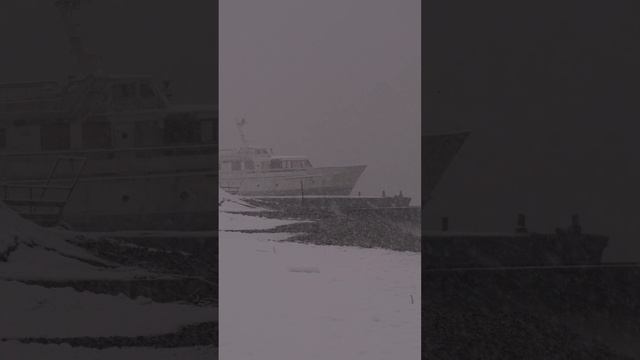 Тишина между снегом и волнами.