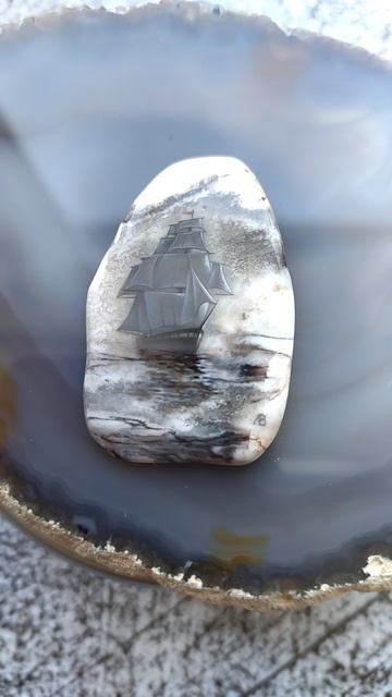 VID_20240313_145337.mp4