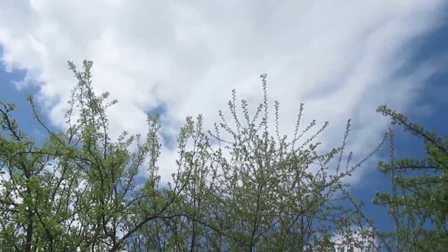 В ожидании. Часть 3.