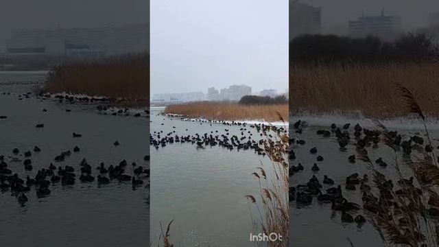 VID-20250224-WA0008
